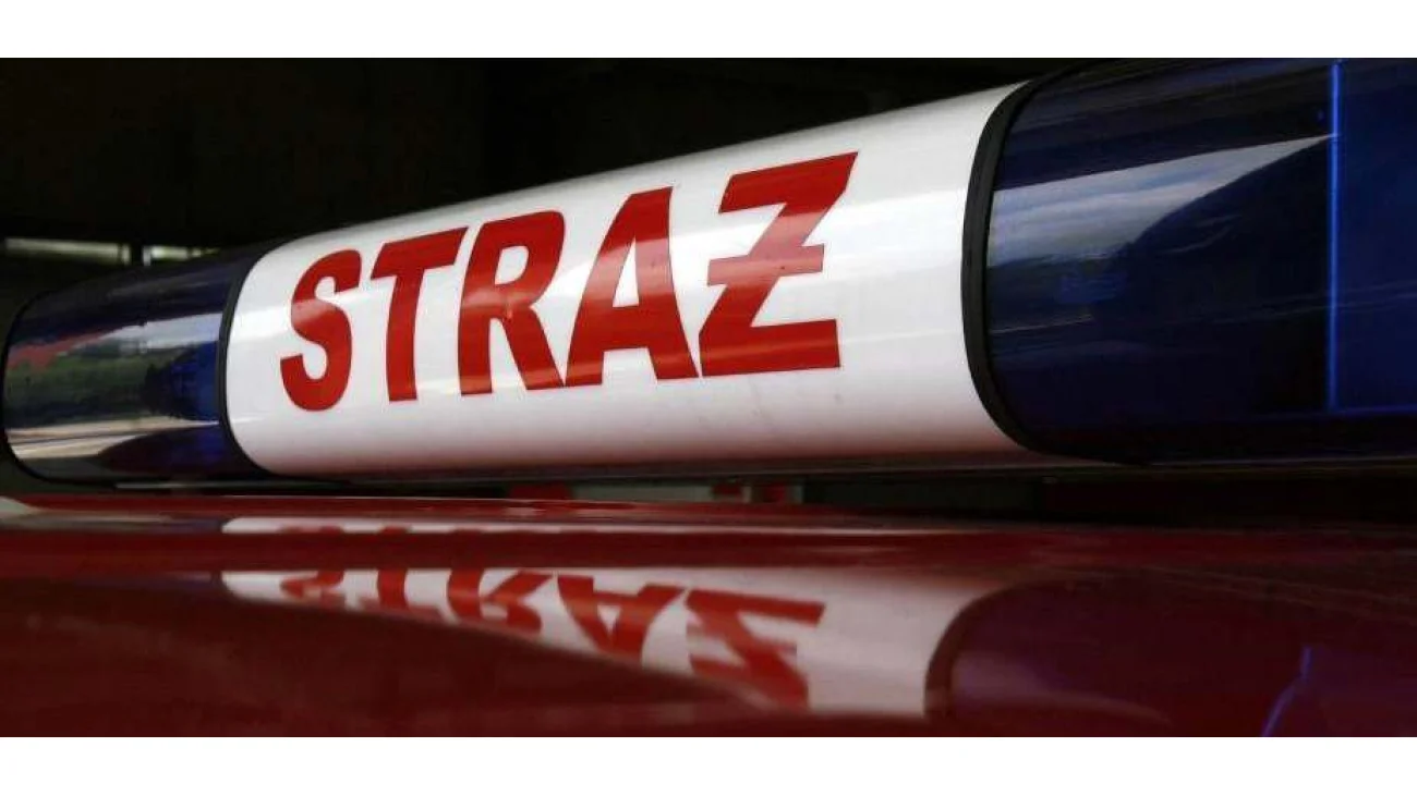 Strażackie podsumowanie tygodnia Powiatowej Straży Pożarnej w Pułtusku 11 - 17.11.2019 r.