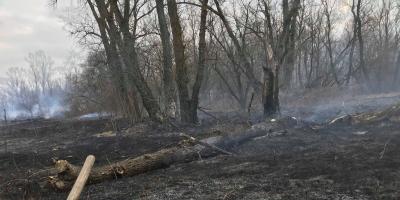 Palące się trawy to niemały problem w powiecie