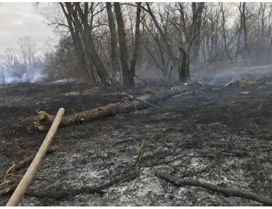 Palące się trawy to niemały problem w powiecie