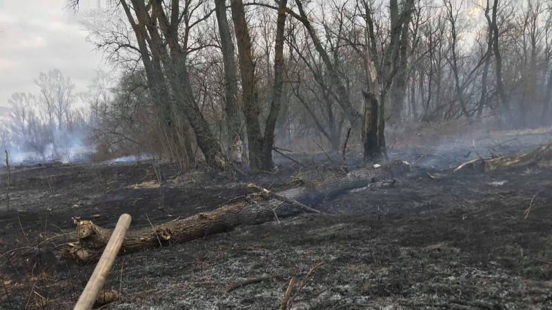 Palące się trawy to niemały problem w powiecie