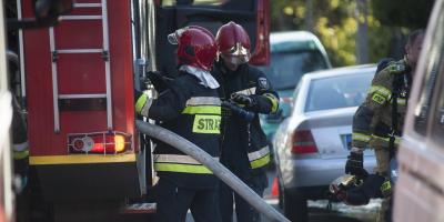 Siedem interwencji strażaków w powiecie pułtuskim. Martwy łoś, pomoc mieszkańcom i kolizja drogowa