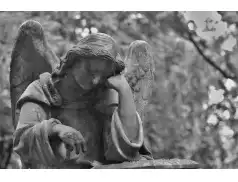 Godziny nabożeństw - 1 listopada 2018r. w powiecie pułtuskim