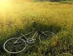 Kronika Policyjna KPP Pułtusk  31.07.2023 – 07.08.2023