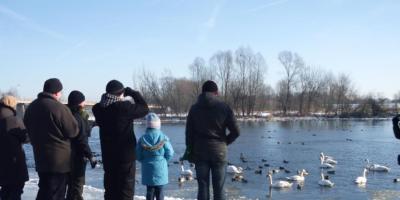 Zimowe Ptakoliczenie 2019 w Pułtusku