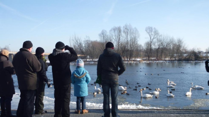 Zimowe Ptakoliczenie 2019 w Pułtusku