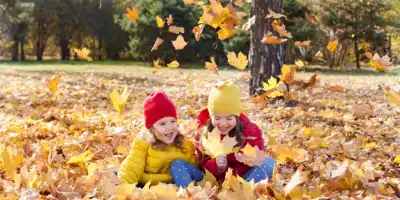 Odkryj edukacyjny świat jesieni. Pomysły na rozwój dziecięcej wyobraźni.