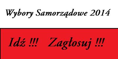 Wybory Samorządowe 2014 w Pułtusku