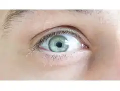 Społeczny obserwator wyborów - jak nim zostać - poradnik