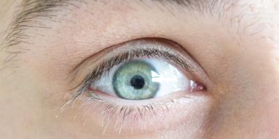 Społeczny obserwator wyborów - jak nim zostać - poradnik