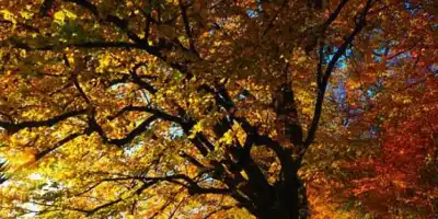 Lato już za nami.. przyszła jesień