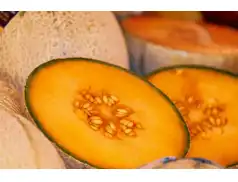 Zapach Letniego Raju: Odkryj Różnorodność Melonów i Ich Korzyści