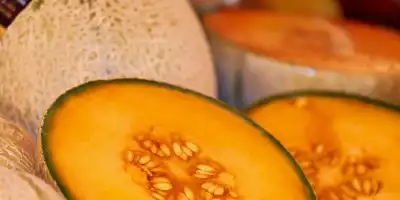 Zapach Letniego Raju: Odkryj Różnorodność Melonów i Ich Korzyści