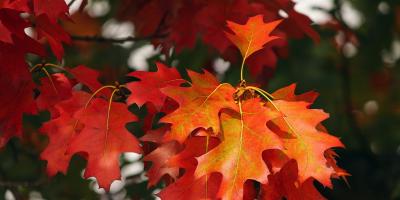 Pierwszy Dzień Jesieni 2019