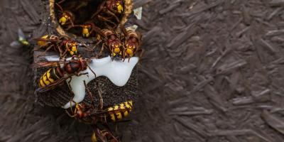 Pułtuska Kronika Strażacka 27.04.- 03.05.2020 r.