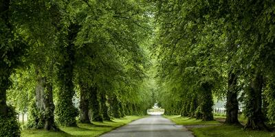 Policyjne działania Majowy Weekend 2019 od jutra!