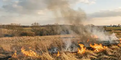 Pracowity tydzień pułtuskich strażaków. Płonące trawy, pożar mieszkania i ratunek dla psa
