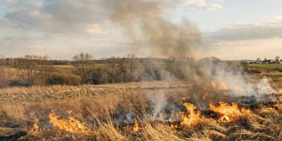 Pracowity tydzień pułtuskich strażaków. Płonące trawy, pożar mieszkania i ratunek dla psa