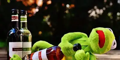 Domowe sposoby na kaca