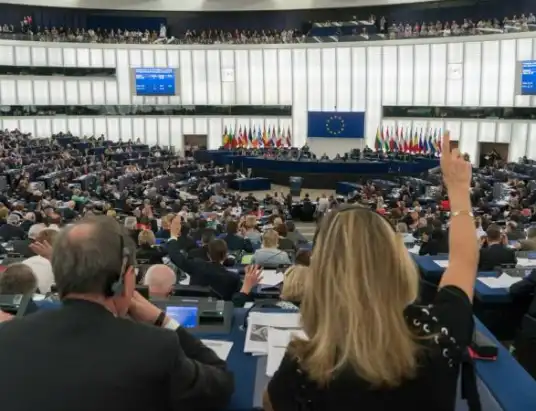 Wybory do Parlamentu Europejskiego