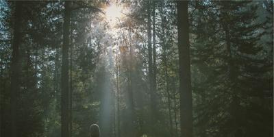 Lepkie ręce pensjonariuszki DPSu z Obrytego