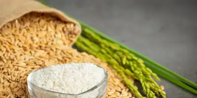  Woda ryżowa. Tajemniczy eliksir dla zdrowych włosów i skóry