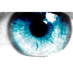 Avatar użytkownika