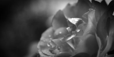 Kondolencje dla p. Witolda Musińskiego byłego Komendanta Powiatowego PSP w Pułtusku z powodu śmierci mamy