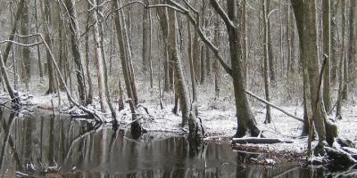 Poziom wody w Narwi - stan na godz. 21.00 [17.01.2018]