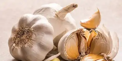 Prowansalska zupa czosnkowa