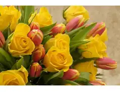 8 Marca 2018 - Dzień Kobiet