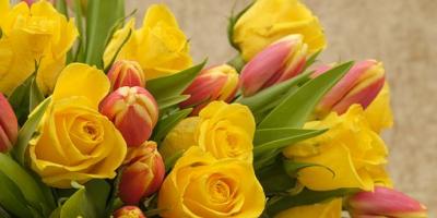 8 Marca 2018 - Dzień Kobiet