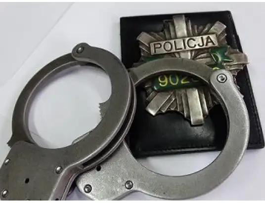 Znieważył Policjantów, teraz odpowie za swój czyn przed sądem