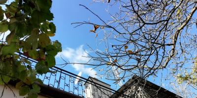 Coraz więcej pożarów sadzy - Pułtuska Kronika Strażacka