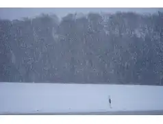 Wraca zima - IMGW wydało ostrzeżenie