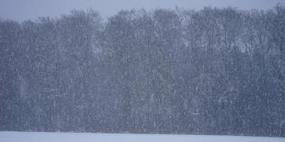 Wraca zima - IMGW wydało ostrzeżenie