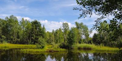 Tragedia w Pułtusku - oficjalne informacje z Prokuratury