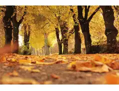 Kiedy pierwszy dzień jesieni 2018?