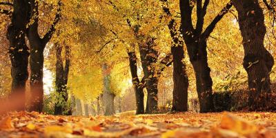 Kiedy pierwszy dzień jesieni 2018?