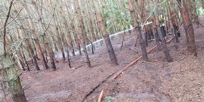 Pożar lasu w Sokołowie Włościańskim