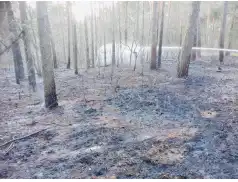 Pułtuska Kronika Strażacka 