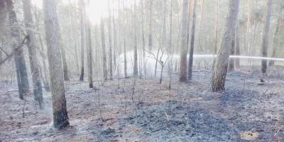 Pułtuska Kronika Strażacka 