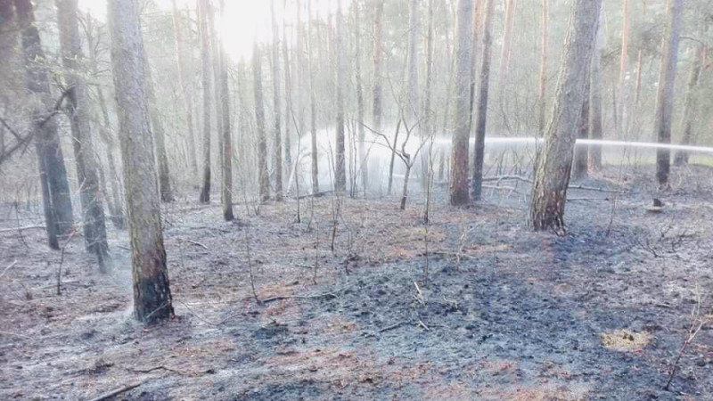 Pułtuska Kronika Strażacka 
