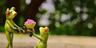 Walentynki - święto miłości