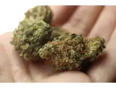 O narkotykach i dopalaczach - spotkanie Rady Pedagogicznej z Policjantami w szkole w Golądkowie