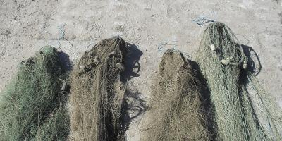 Kłusownicy ryb zatrzymani na gorącym uczynku. Chcieli ukraść ryby z rzeki Narew