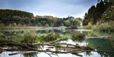Wysoki poziom wody w Narwi w Pułtusku 