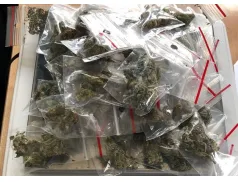 Pułtusk. Kolejny handlarz narkotyków zatrzymany!