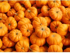 Dynia na twoim talerzu. Pyszne przepisy na roladki i pierogi.