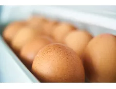 GIS ostrzega: pałeczki salmonelli na skorupkach jaj z Biedronki. 