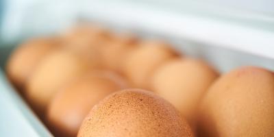 GIS ostrzega: pałeczki salmonelli na skorupkach jaj z Biedronki. 